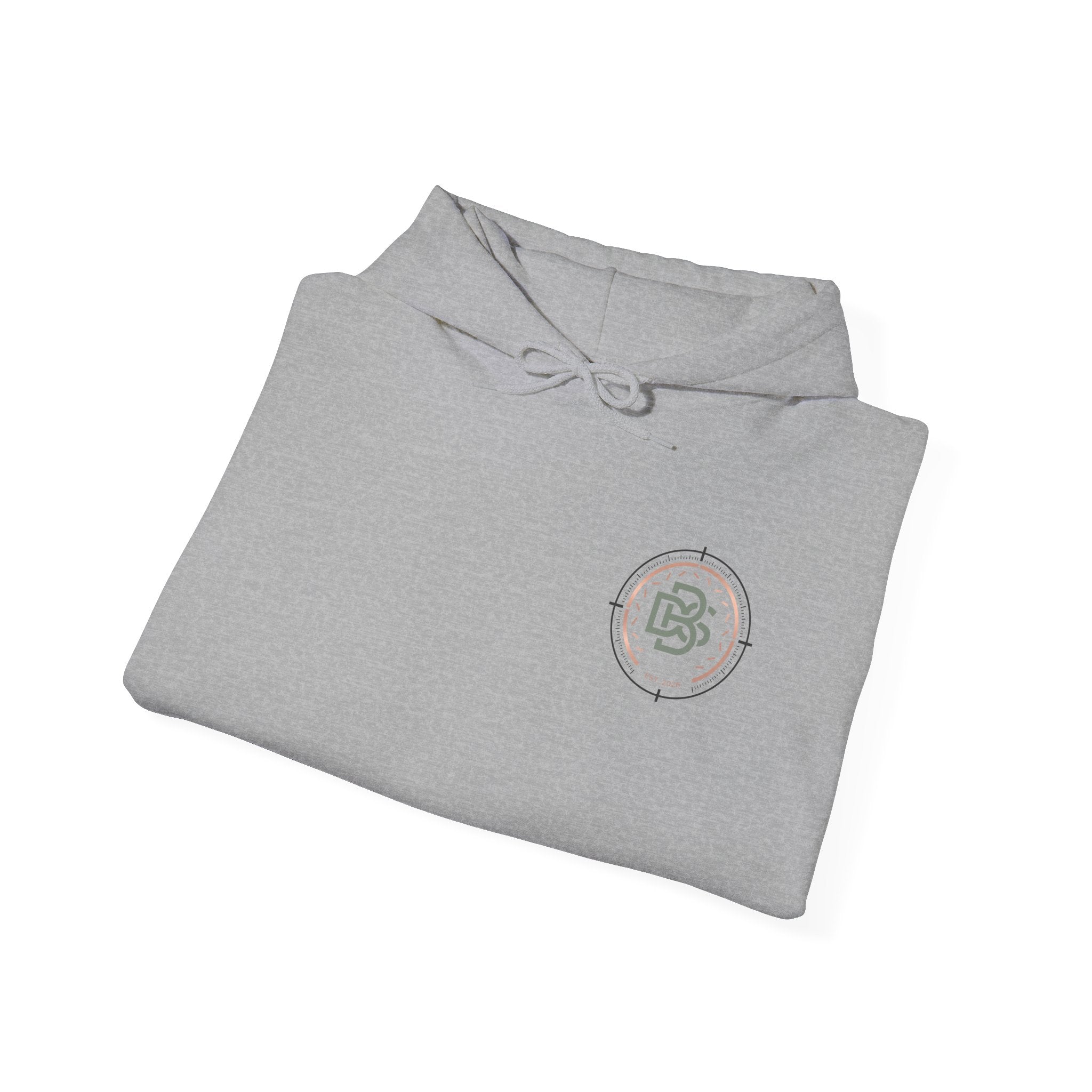 DBS Color Logo Graphic Hoodie