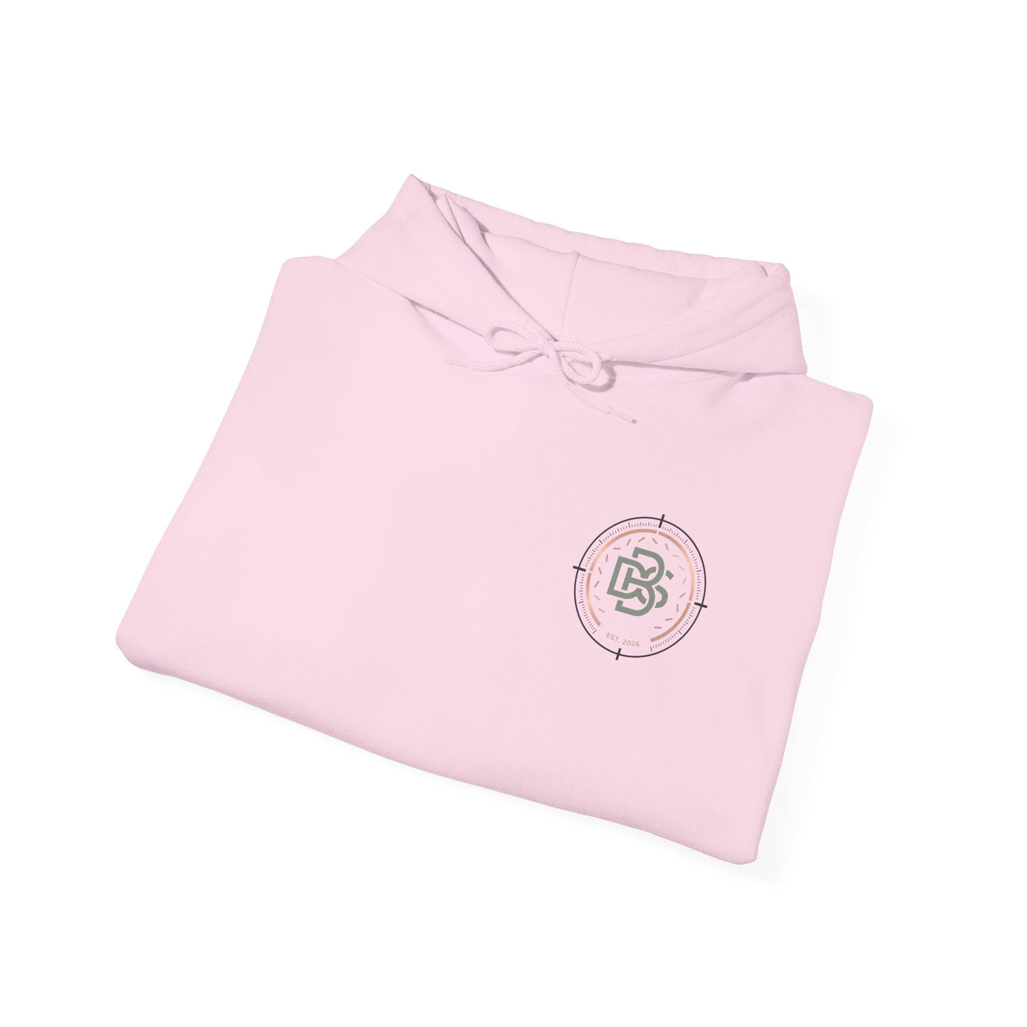 DBS Color Logo Graphic Hoodie