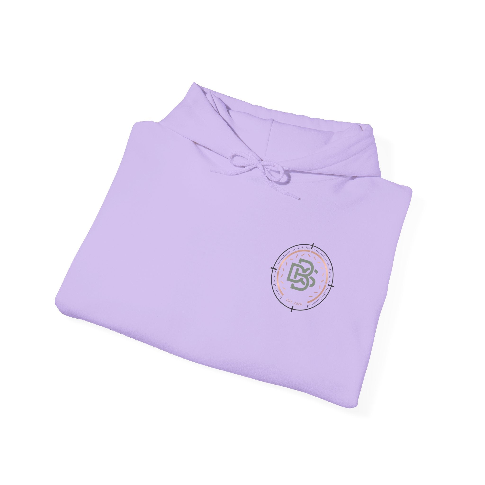 DBS Color Logo Graphic Hoodie