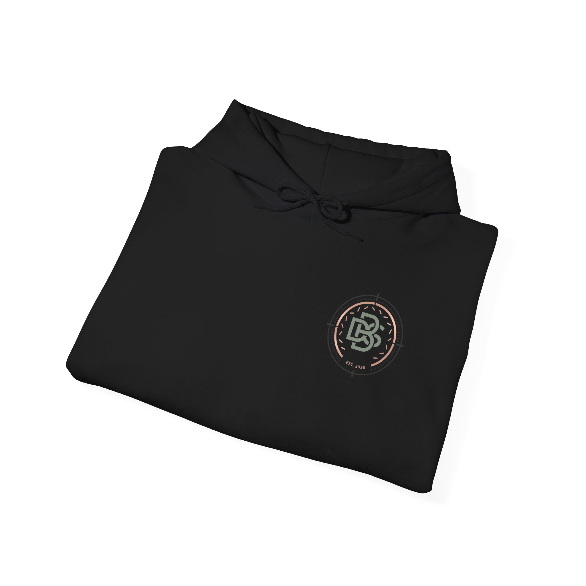 DBS Color Logo Graphic Hoodie